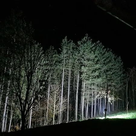 Vikendica Sa Djakuzijem Borik בית נופש Grabova Kosa